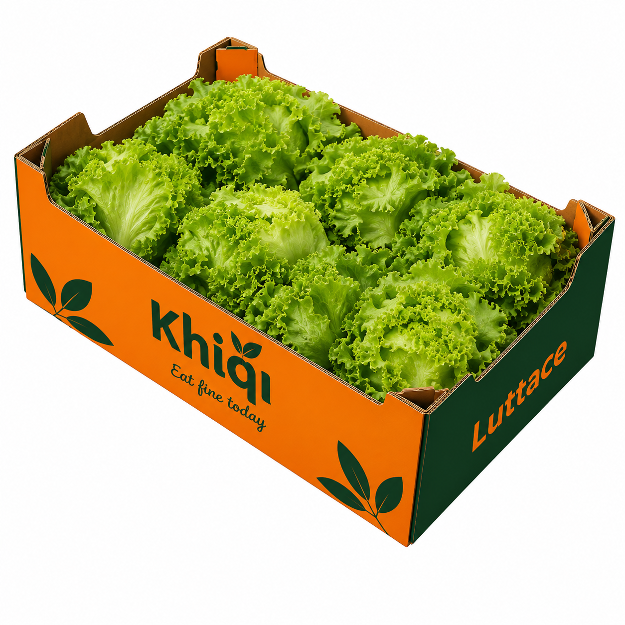 Lettuce